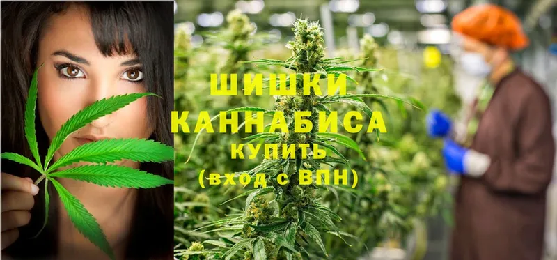 Бошки марихуана Bruce Banner  купить наркотики цена  Торжок 